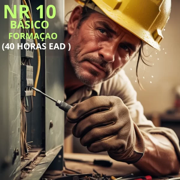 NR10-BASICO SEGURANÇA EM INSTALAÇÔES E SERVIÇOS EM ELETRICIDADE FORMAÇAO)
