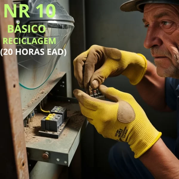 NR 10BÁSICO SEGURANÇA EM INSTALAÇÕES E SERVIÇOS EM ELETRICIDADE RECICLAGEM