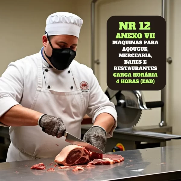 NR12-ANEXO VII MAQUINAS  DE ACOUGUE E  MERCEARIAS BARES E  RESTAURANTES