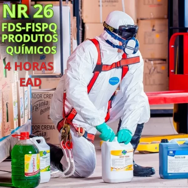 NR 26 - FDS-FISPQ ONLINE ( 4 H - EAD)