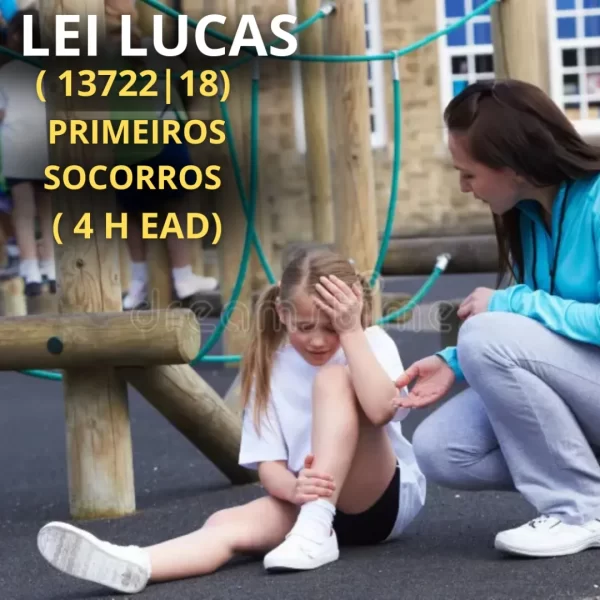 LEI LUCAS(13722I18) TREINAMENTO